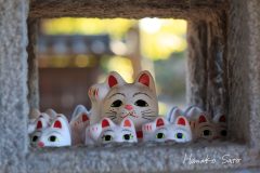 灯篭の中にも
