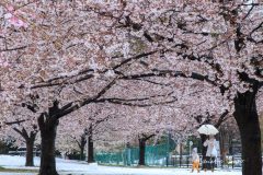 雪にはしゃぐ子ども