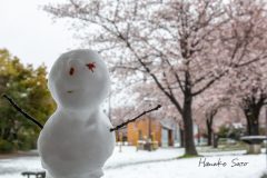 作者不明