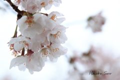 水も滴る