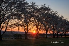 橋の向こうに沈む夕日