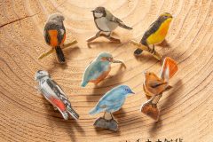 bird_common01