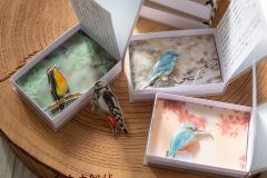 bird_common02