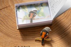 bird_jyobitaki02
